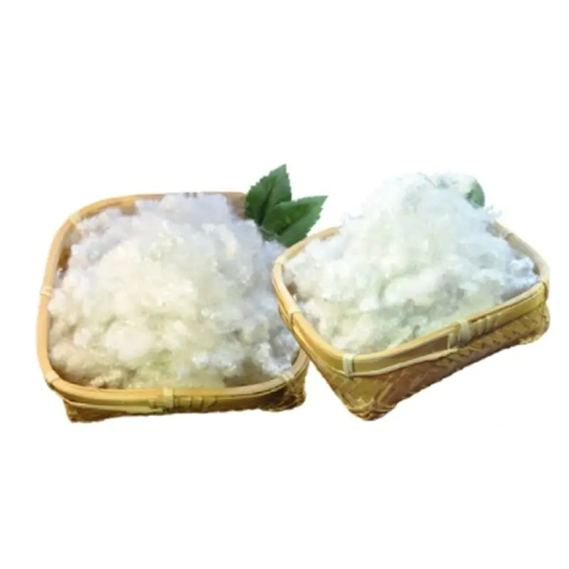 Potest Polyester Fiber REDIVIVUS et quomodo hoc opus